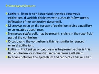 Histological features
Epithelial lining is non keratinized stratified squamous
epithelium of variable thickness with a chronic inflammatory
infiltration of the connective tissue wall.
Microcysts open on the surface of epithelium giving a papillary
or corrugated appearance.
Numerous goblet cells may be present, mainly in the superficial
part of the epithelium.
Occasionally, the epithelium is thinner, similar to reduced
enamel epithelium.
Epithelial thickenings or plaques may be present either in this
thin epithelium or in the stratified squamous epithelium.
Interface between the epithelium and connective tissue is flat.
 