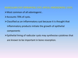 RADICULAR CYST (PERIAPICAL CYST, APICAL PERIODONTAL CYST)
Most common of all odontogenic .
Accounts 70% of cysts.
Classified as an inflammatory cyst because it is thought that
inflammatory products initiate the growth of epithelial
components
Epithelial lining of radicular cysts may synthesise cytokines that
are known to be important in bone resorption.
 