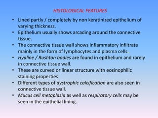 • Lined partly / completely by non keratinized epithelium of
varying thickness.
• Epithelium usually shows arcading around the connective
tissue.
• The connective tissue wall shows inflammatory infiltrate
mainly in the form of lymphocytes and plasma cells.
• Hyaline / Rushton bodies are found in epithelium and rarely
in connective tissue wall.
• These are curved or linear structure with eosinophilic
staining properties
• Different types of dystrophic calcification are also seen in
connective tissue wall.
• Mucus cell metaplasia as well as respiratory cells may be
seen in the epithelial lining.
HISTOLOGICAL FEATURES
 