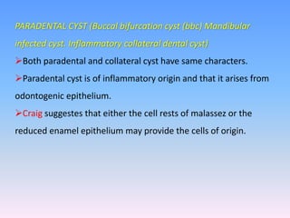 PARADENTAL CYST (Buccal bifurcation cyst (bbc) Mandibular
infected cyst. Inflammatory collateral dental cyst)
Both paradental and collateral cyst have same characters.
Paradental cyst is of inflammatory origin and that it arises from
odontogenic epithelium.
Craig suggestes that either the cell rests of malassez or the
reduced enamel epithelium may provide the cells of origin.
 