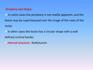 Periphery and Shape:
 In some cases the periphery is not readily apparent, and the
lesion may be superimposed over the image of the roots of the
molar.
In other cases the lesion has a circular shape with a well
defined cortical border.
Internal structure : Radiolucent.
 