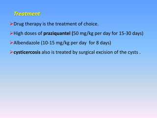 Treatment
Drug therapy is the treatment of choice.
High doses of praziquantel (50 mg/kg per day for 15-30 days)
Albendazole (10-15 mg/kg per day for 8 days)
cysticercosis also is treated by surgical excision of the cysts .
 