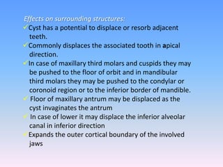 Effects on surrounding structures:
Cyst has a potential to displace or resorb adjacent
teeth.
Commonly displaces the associated tooth in apical
direction.
In case of maxillary third molars and cuspids they may
be pushed to the floor of orbit and in mandibular
third molars they may be pushed to the condylar or
coronoid region or to the inferior border of mandible.
 Floor of maxillary antrum may be displaced as the
cyst invaginates the antrum
 In case of lower it may displace the inferior alveolar
canal in inferior direction
Expands the outer cortical boundary of the involved
jaws
 