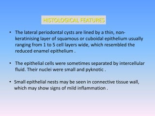 • The lateral periodontal cysts are lined by a thin, non-
keratinising layer of squamous or cuboidal epithelium usually
ranging from 1 to 5 cell layers wide, which resembled the
reduced enamel epithelium .
• The epithelial cells were sometimes separated by intercellular
fluid. Their nuclei were small and pyknotic .
• Small epithelial nests may be seen in connective tissue wall,
which may show signs of mild inflammation .
HISTOLOGICAL FEATURES
 