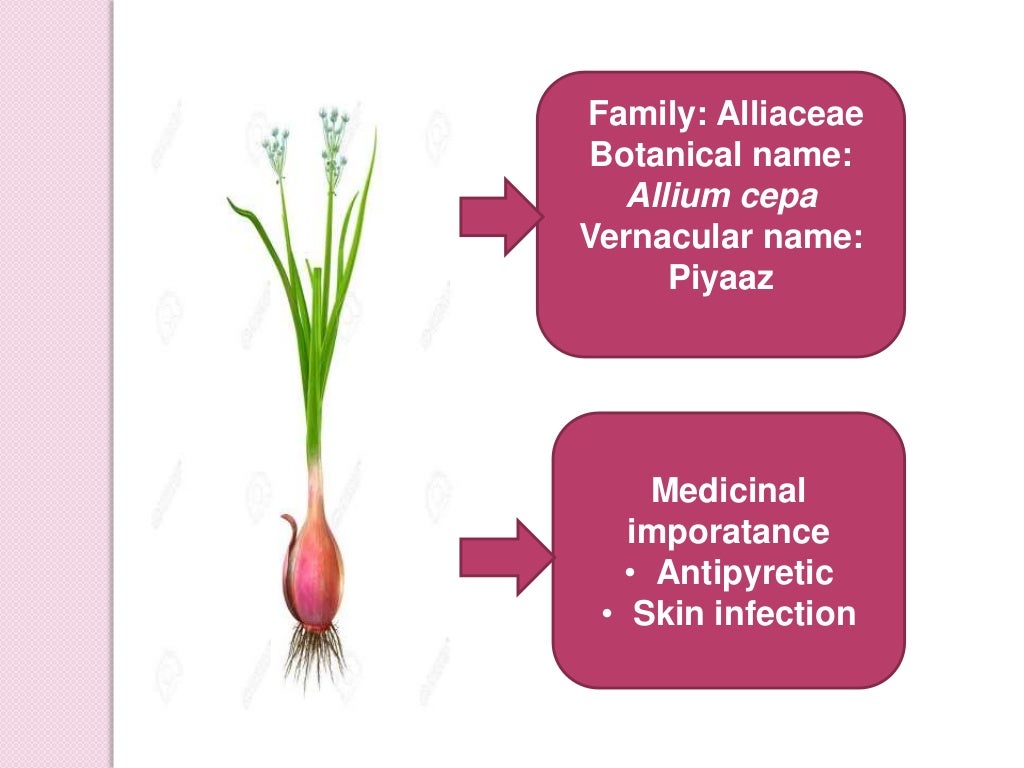 Ethnobotany, history of ethnobotany, aims and objective of ethnobotan…