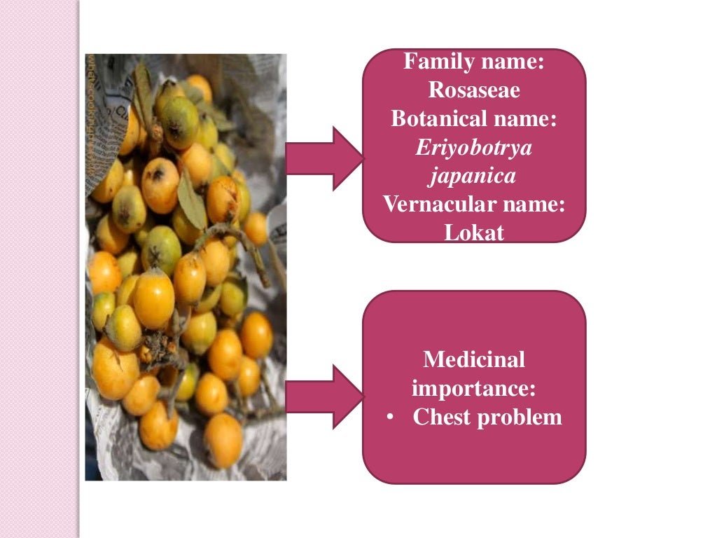 Ethnobotany, history of ethnobotany, aims and objective of ethnobotan…
