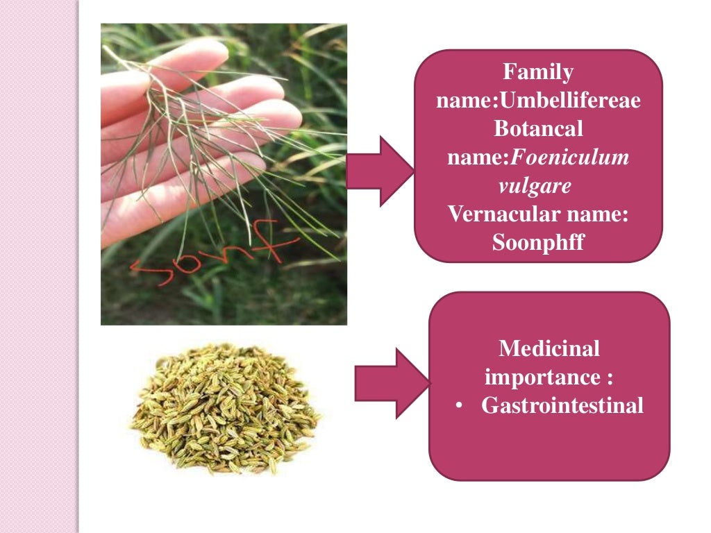 Ethnobotany, history of ethnobotany, aims and objective of ethnobotan…