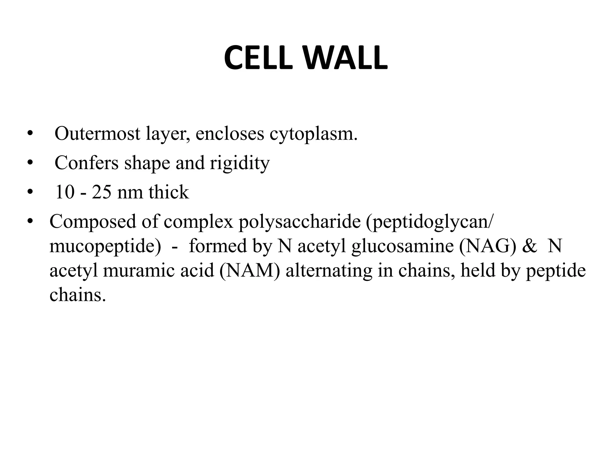 CELL WALL
• Outermost layer, encloses cytoplasm.
• Confers shape and rigidity
• 10 - 25 nm thick
• Composed of complex polysaccharide (peptidoglycan/
mucopeptide) - formed by N acetyl glucosamine (NAG) & N
acetyl muramic acid (NAM) alternating in chains, held by peptide
chains.
 