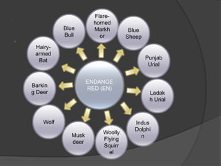 .
 .
Ladak
h Urial
Punjab
Urial
Blue
Sheep
Flare-
horned
Markh
or
Blue
Bull
Hairy-
armed
Bat
Barkin
g Deer
Wolf
Musk
deer
Woolly
Flying
Squirr
el
Indus
Dolphi
n
ENDANGE
RED (EN)
 