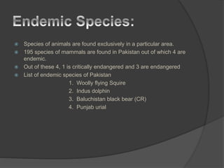  Species of animals are found exclusively in a particular area.
 195 species of mammals are found in Pakistan out of which 4 are
endemic.
 Out of these 4, 1 is critically endangered and 3 are endangered
 List of endemic species of Pakistan
1. Woolly flying Squire
2. Indus dolphin
3. Baluchistan black bear (CR)
4. Punjab urial
 