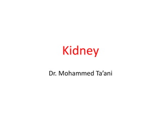 Kidney
Dr. Mohammed Ta’ani
 
