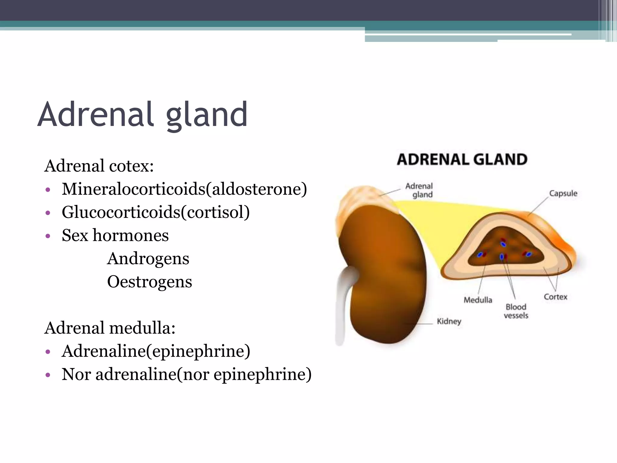 ENDOCRINE DISORDERS AFFECTING PROSTHODONTIC TREATMENT | PPTX