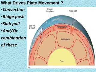 Ore mineralization at divergent plate boundary | PPT