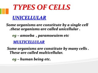 TYPES OF CELLS
UNICELLULAR
Some organisms are constitute by a single cell
.these organisms are called unicellular .
eg – amoeba , paramoeuiem etc
MULTICELLULAR
Some organisms are constitute by many cells .
These are called multicellular.
eg – human being etc.
 
