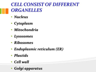 CELL CONSIST OF DIFFERENT
ORGANELLES
• Nucleus
• Cytoplasm
• Mitochondria
• Lysosomes
• Ribosomes
• Endoplasmic reticulum (ER)
• Plastids
• Cell wall
• Golgi apparatus
 