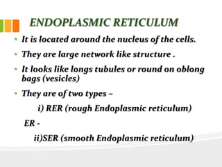 ENDOPLASMIC RETICULUM
• It is located around the nucleus of the cells.
• They are large network like structure .
• It looks like longs tubules or round on oblong
bags (vesicles)
• They are of two types –
i) RER (rough Endoplasmic reticulum)
ER -
ii)SER (smooth Endoplasmic reticulum)
 