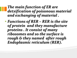 The main function of ER are
detxification of poisonous material
and exchanging of material .
• Functions of RER – RER is the site
of protein and they manufacture
proteins . It consist of many
ribosomes and so the surface is
rough & they named after rough
Endoplasmic reticulum (RER).
 