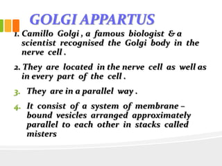 GOLGI APPARTUS
1. Camillo Golgi , a famous biologist & a
scientist recognised the Golgi body in the
nerve cell .
2. They are located in the nerve cell as well as
in every part of the cell .
3. They are in a parallel way .
4. It consist of a system of membrane –
bound vesicles arranged approximately
parallel to each other in stacks called
misters
 