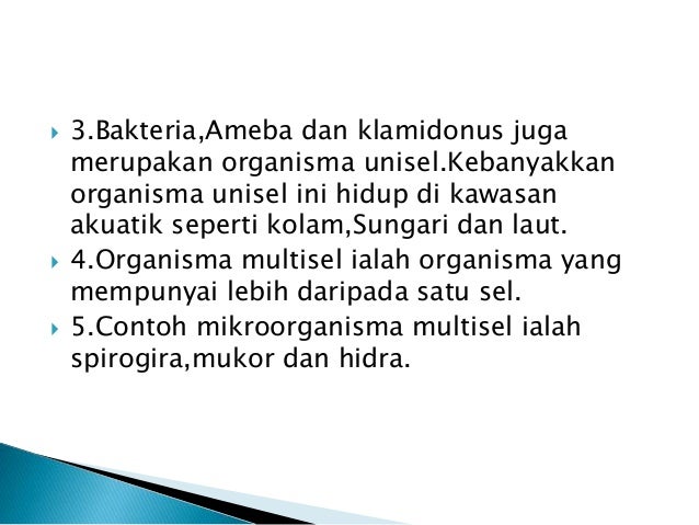New microsoft office power point presentation (3)