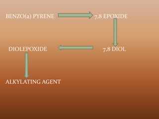 BENZO(a) PYRENE 7,8 EPOXIDE
DIOLEPOXIDE 7,8 DIOL
ALKYLATING AGENT
 