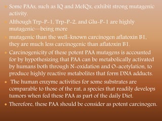  Some PAAs, such as IQ and MeIQx, exhibit strong mutagenic
activity.
 Although Trp-P-1, Trp-P-2, and Glu-P-1 are highly
mutagenic—being more
 mutagenic than the well-known carcinogen aflatoxin B1,
they are much less carcinogenic than aflatoxin B1.
 Carcinogenicity of these potent PAA mutagens is accounted
for by hypothesizing that PAA can be metabolically activated
by humans both through N-oxidation and O-acetylation, to
produce highly reactive metabolites that form DNA adducts.
 The human enzyme activities for some substrates are
comparable to those of the rat, a species that readily develops
tumors when fed these PAA as part of the daily Diet.
 Therefore, these PAA should be consider as potent carcinogen.
 