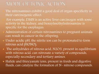  The nitrosamines exhibit a good deal of organ specificity in
their carcinogenic effect.
 For example, DMN is an active liver carcinogen with some
activity in the kidney, and benzylmethylnitrosamine is
specific for the esophagus.
 Administration of certain nitrosamines to pregnant animals
can result in cancer in the offspring.
 Under acidic pH, the nitrite ion can be protonated to form
nitrous acid (HONO).
 The anhydrides of nitrous acid, N2O3, present in equilibrium
with nitrous acid, can nitrosate a variety of compounds,
especially secondary and tertiary amines.
 Halide and thiocyanate ions, present in foods and digestive
fluids, can catalyze the formation of N- nitroso compounds.
 