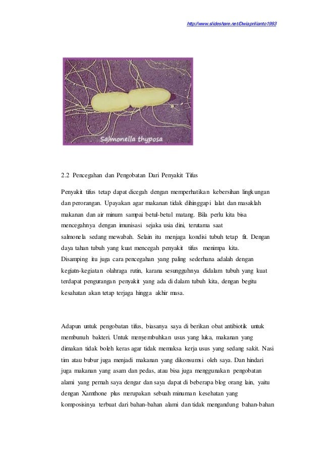  Makalah Penyakit Tifus