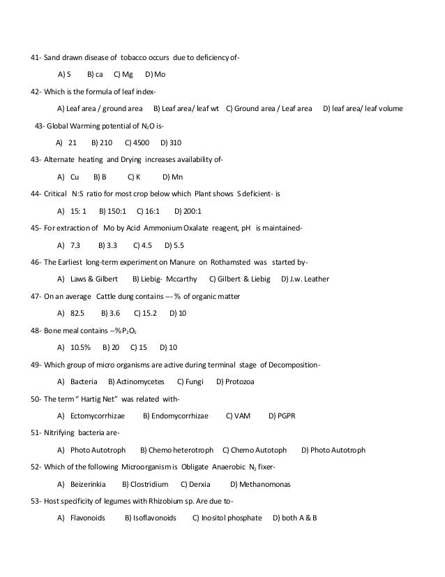 essay about health food young people's