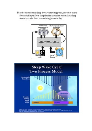  If the homeostaticsleep drive, were unopposed, as occurs in the
absence of inputfrom the principal circadian pacemaker, sleep
would occurin short bouts throughoutthe day.
 