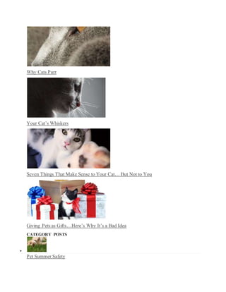 Why Cats Purr
Your Cat’s Whiskers
Seven Things That Make Sense to Your Cat… But Not to You
Giving Pets as Gifts…Here’s Why It’s a Bad Idea
CATEGORY POSTS

Pet Summer Safety
 