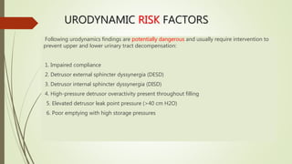 URODYNAMIC RISK FACTORS
Following urodynamics findings are potentially dangerous and usually require intervention to
prevent upper and lower urinary tract decompensation:
1. Impaired compliance
2. Detrusor external sphincter dyssynergia (DESD)
3. Detrusor internal sphincter dyssynergia (DISD)
4. High-pressure detrusor overactivity present throughout filling
5. Elevated detrusor leak point pressure (>40 cm H2O)
6. Poor emptying with high storage pressures
 