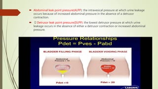  Abdominal leak point pressure(ALPP): the intravesical pressure at which urine leakage
occurs because of increased abdominal pressure in the absence of a detrusor
contraction.
 Detrusor leak point pressure(DLPP): the lowest detrusor pressure at which urine
leakage occurs in the absence of either a detrusor contraction or increased abdominal
pressure.
 