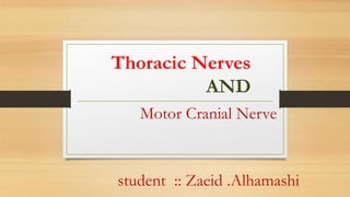 Thoracic Nerves
AND
Motor Cranial Nerve
student :: Zaeid .Alhamashi
 