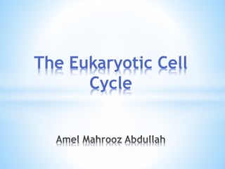 The Eukaryotic Cell
Cycle
 