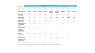 antibody structure classification and functions