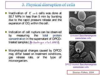 Inactivation of E. co li cells was done at
50.7 MPa in less than 5 min by bursting
due to the rapid pressure release and the
expansion of CO2 within thecell.
Indication of cell rupture can be observed
by measuring the total protein
concentration in the supernatant of DPCD-
treated samples(Spilimbergo et al.,2003).
Morphological changes caused by DPCD
may differ based on treatment conditions,
gas release rate, or the type of
microorganism.
Untrated Saccharomyces
cerevisiae cells
DPCD treated Saccharomyces
cerevisiae cells
Source:-Folkes, 2004
 