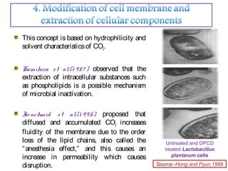 This concept is based on hydrophilicity and
solvent characteristicsof CO2.
Kamihira et al.(1 98 7 ) observed that the
extraction of intracellular substances such
as phospholipids is a possible mechanism
of microbial inactivation.
Isenchmid et al.(1 995) proposed that
diffused and accumulated CO2 increases
fluidity of the membrane due to the order
loss of the lipid chains, also called the
“anesthesia effect,” and this causes an
increase in permeability which causes
disruption.
Untreated and DPCD
treated Lactobacillus
plantarum cells
Source:-Hong and Pyun,1999
 