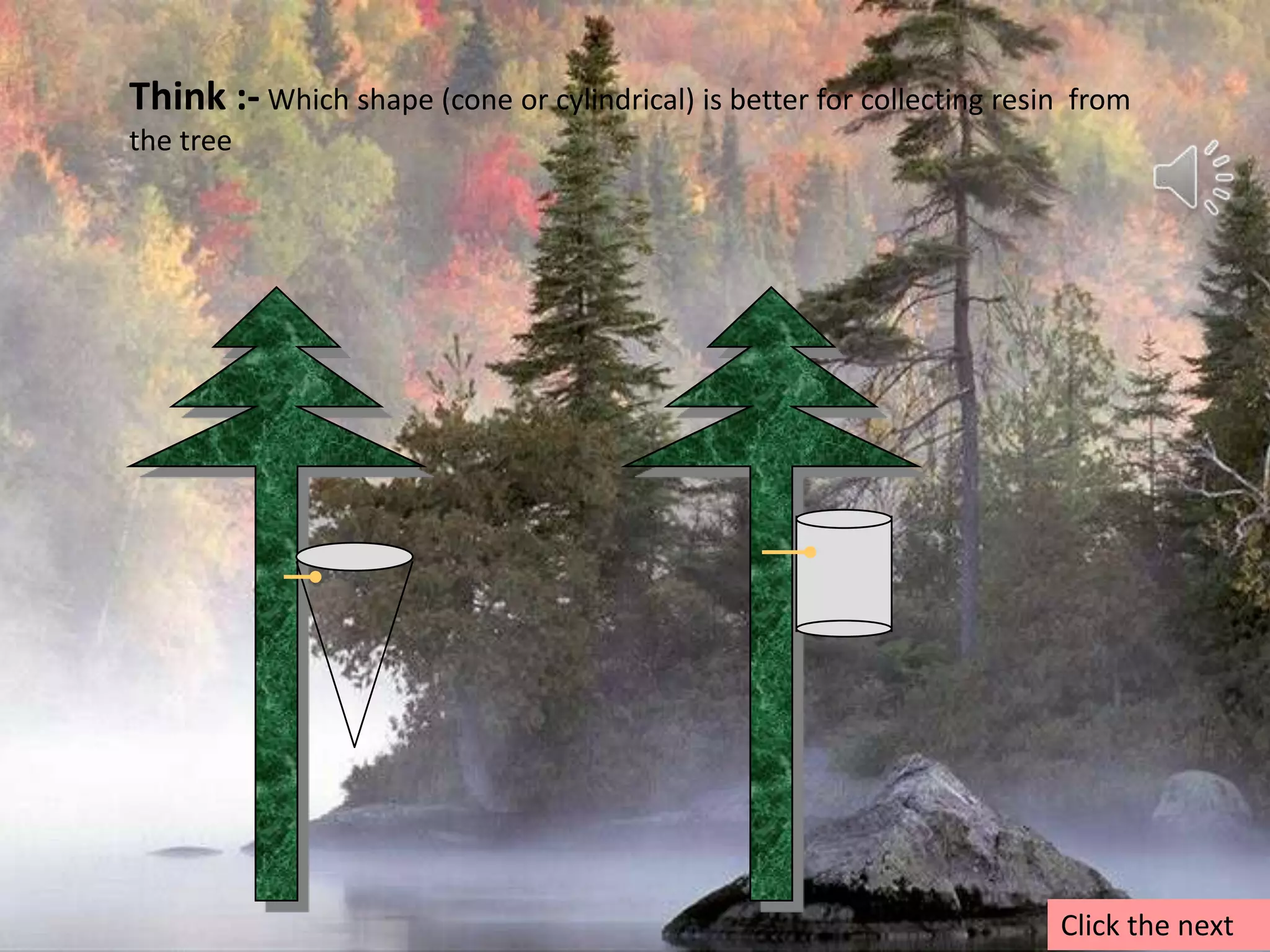 Think :- Which shape (cone or cylindrical) is better for collecting resin  from the treeClick the next