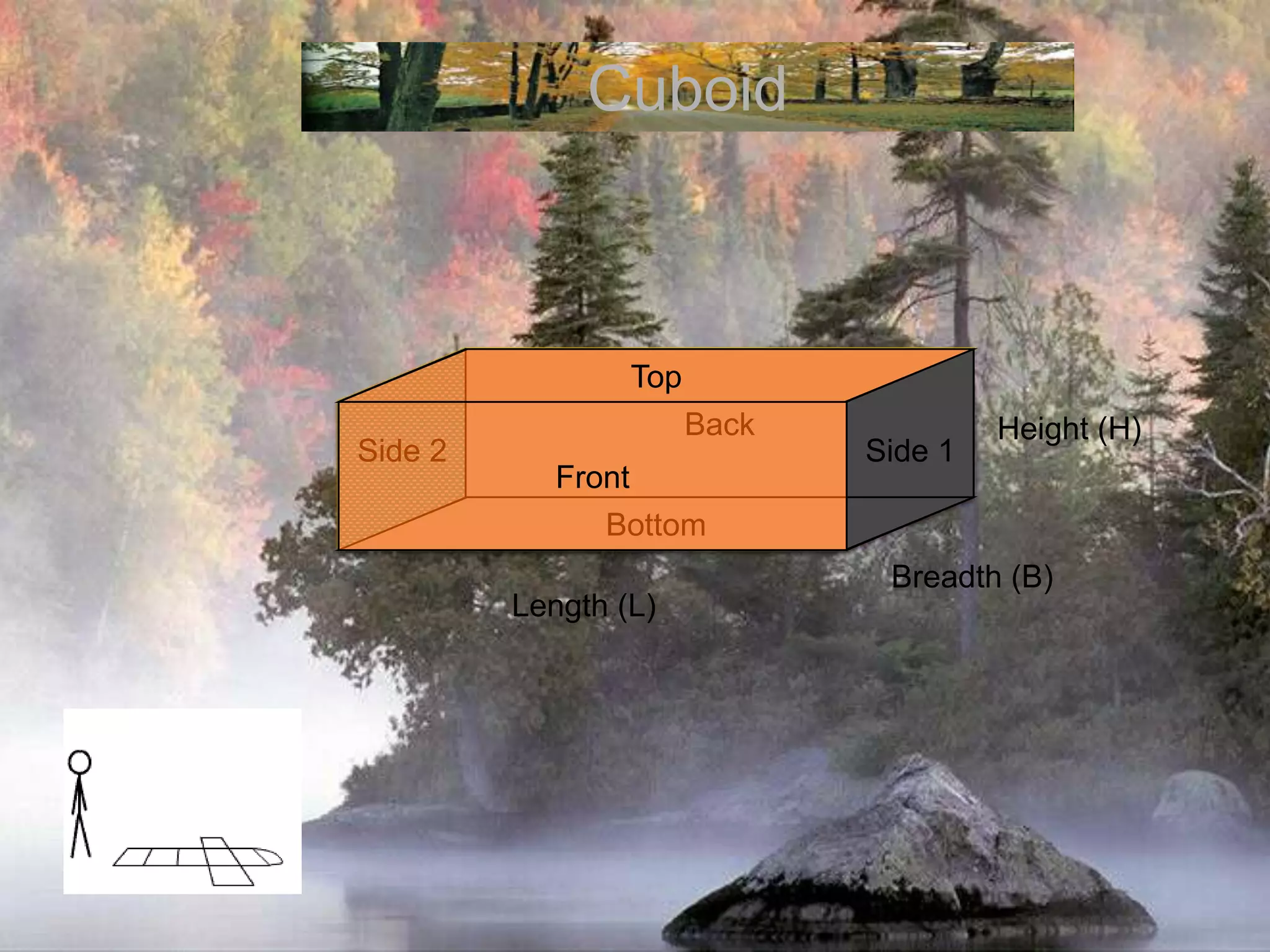 BackTopSide 2Side 1FrontBottomCuboidBackTopSide 2Side 1FrontHeight (H)BottomBreadth (B)Length (L)
