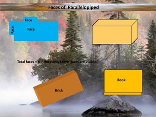 FaceFaceFaceBookBrickFaces of  ParallelopipedTotal faces = 6  ( Here only three  faces are visible.)