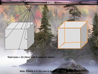                     CoresCoresTotal cores = 12 ( Here  only 9 cores are visible)Note Same is in the case in parallelopiped.