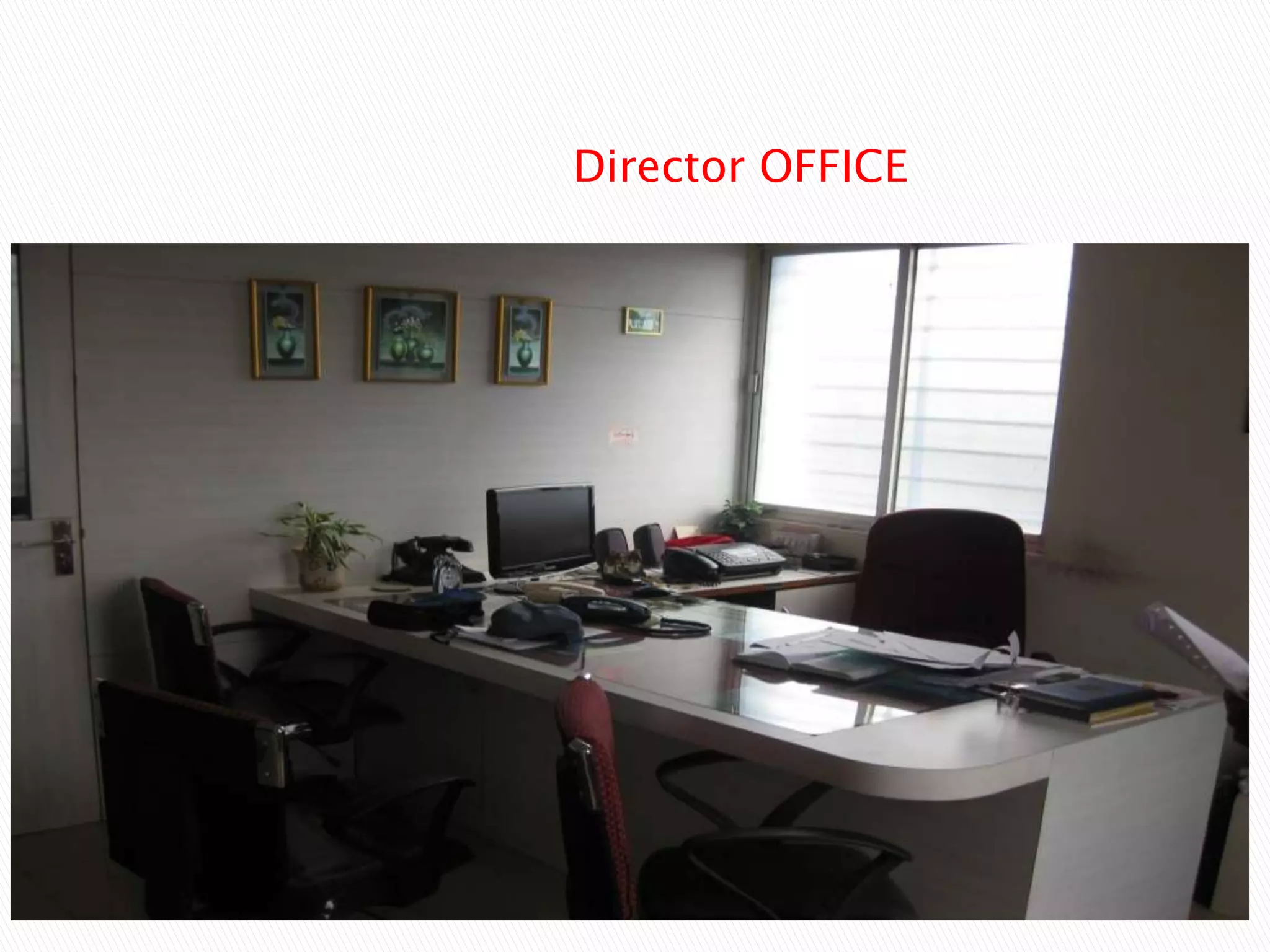 Director OFFICE
