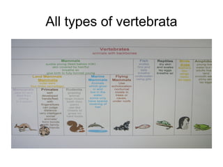 All types of vertebrata

 