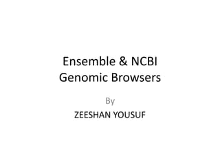 Ensemble & NCBI
Genomic Browsers
By
ZEESHAN YOUSUF

 