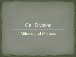 Mitosis and Meiosis

 