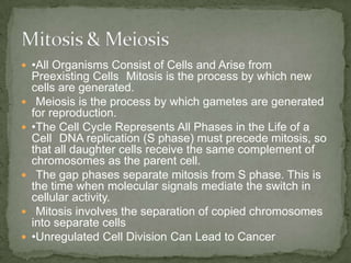  •All Organisms Consist of Cells and Arise from









Preexisting Cells Mitosis is the process by which new
cells are generated.
Meiosis is the process by which gametes are generated
for reproduction.
•The Cell Cycle Represents All Phases in the Life of a
Cell DNA replication (S phase) must precede mitosis, so
that all daughter cells receive the same complement of
chromosomes as the parent cell.
The gap phases separate mitosis from S phase. This is
the time when molecular signals mediate the switch in
cellular activity.
Mitosis involves the separation of copied chromosomes
into separate cells
•Unregulated Cell Division Can Lead to Cancer

 