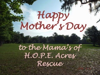 Happy
Mother’s Day
to the Mama’s of
H.O.P.E. Acres
Rescue
 