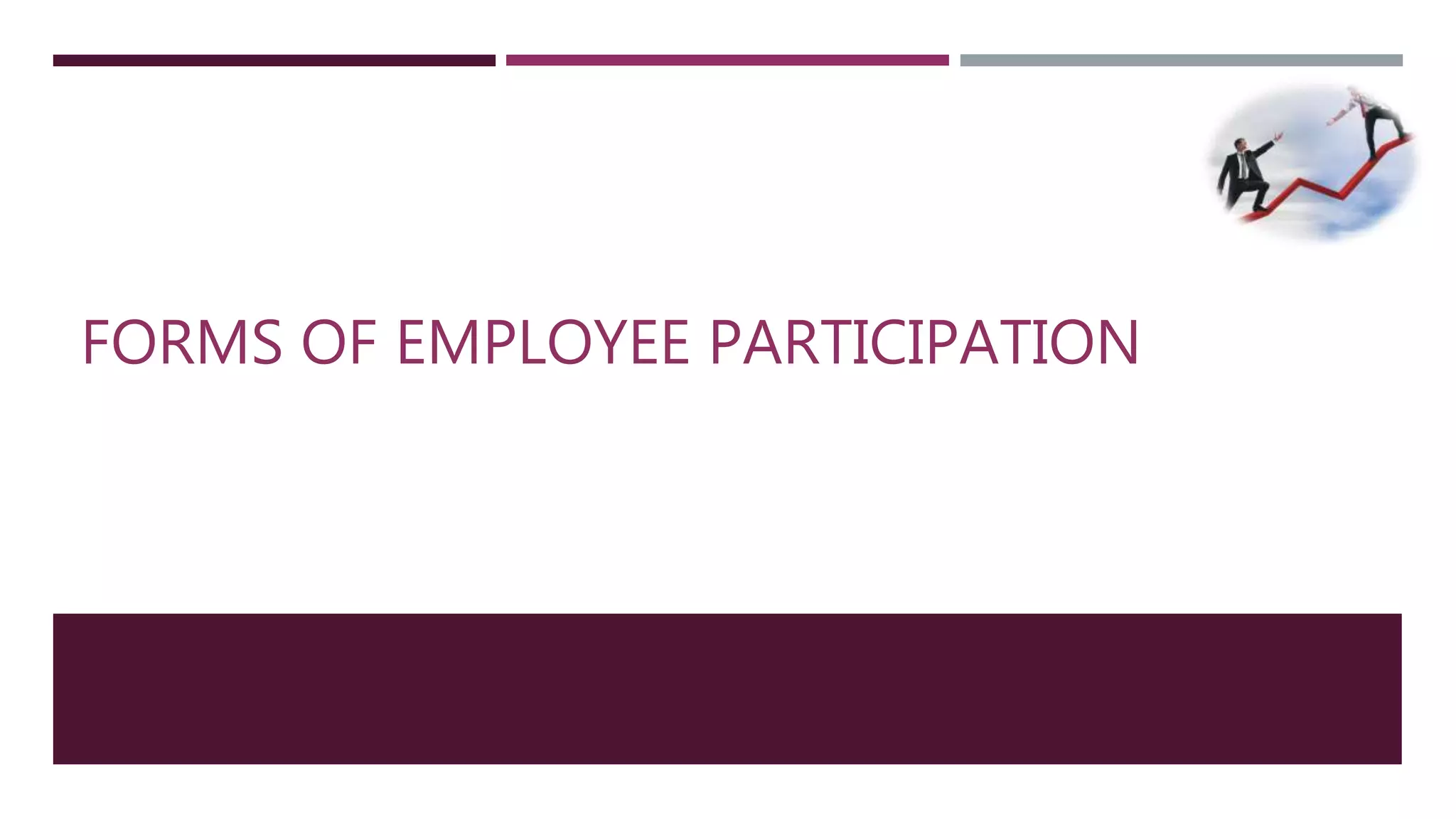FORMS OF EMPLOYEE PARTICIPATION 
 