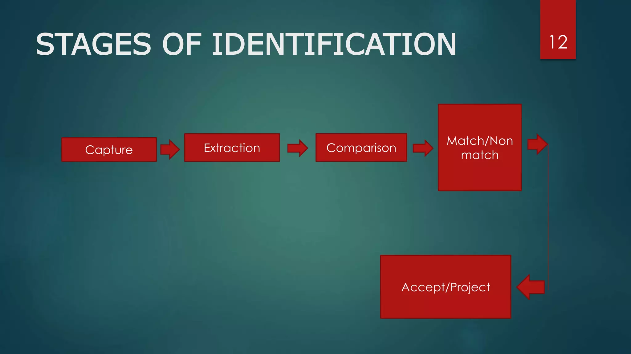 12STAGES OF IDENTIFICATION
Capture Extraction Comparison
Match/Non
match
Accept/Project
 